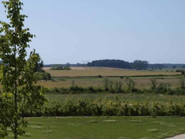 Mellenthin Feriendorf Alte Schmiede الغرفة الصورة